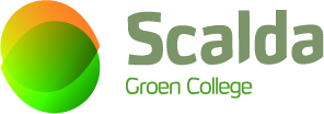 Groene Hotspot Scalda